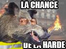 chance-gilet-jaune-sanglier-larry