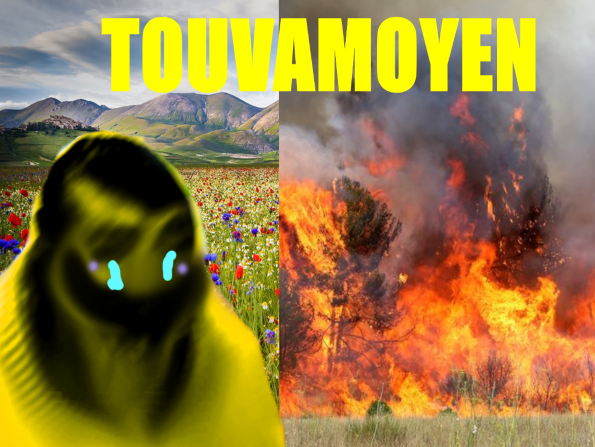moyen touvamoyen bof risitas