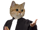 chat-roux-jvc-avocat