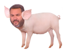 porcinet-cochon-politic-bruce-porc-porcin-toussaint