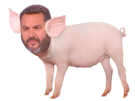 porcinet-porcin-porc-politic-cochon-bruce-toussaint