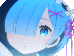 khey complotiste kikoojap rem