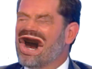 risitas macron eussou jaune politic gilet castaner