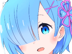 kikoojap heureux complotiste rem