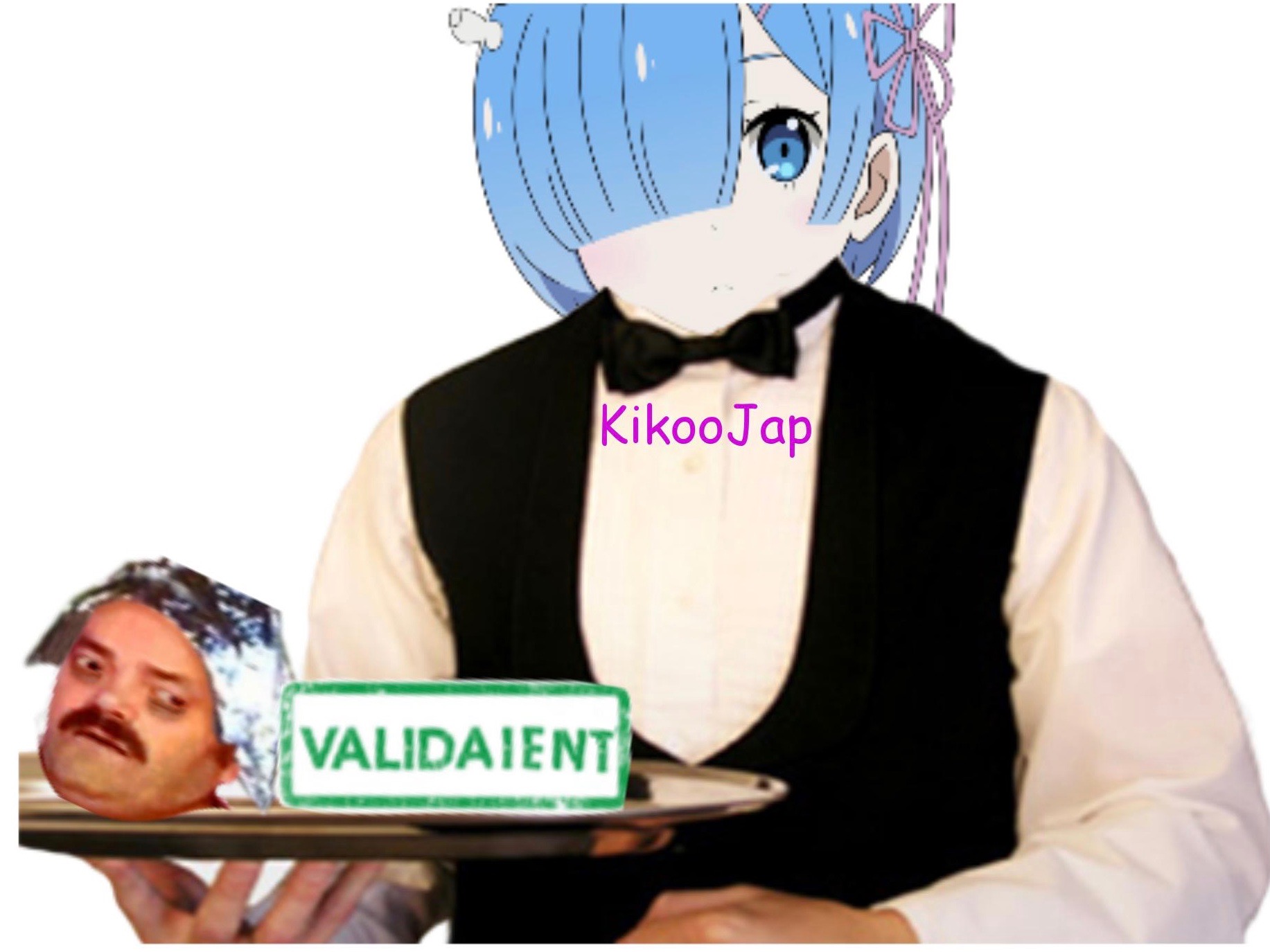 validaient rem kikoocomplotiste kikoojap