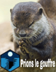 loutre-elite-nuit-priere-gouffre-prions-other
