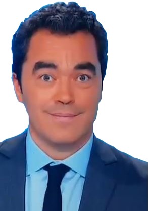 journaliste gilets jaunes lobotomise