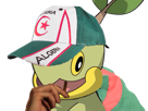 tortipouss-dz-kikoojap-pokemon