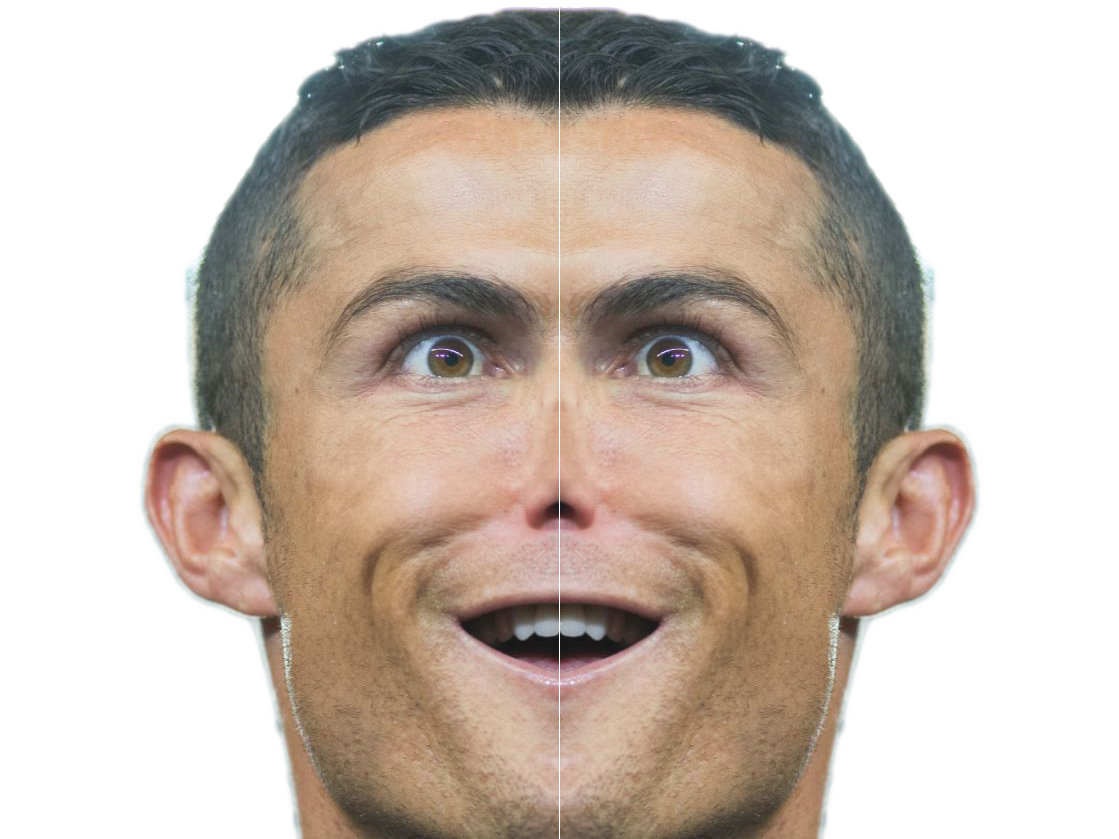 ronalfion risitas fion ronaldo