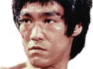 chinois martial martiaux kune bruce artiste jeet maitre acteur philosophe lee do fight combat art bagarre legende