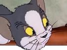 tom-other-jerry-chat