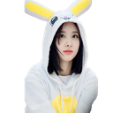 lapin kpop