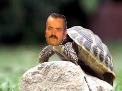 chef fils general coursier deter crabe haut cest soldat yakuza roi determiner dessus mon lion ca risitas coursieryakuza cailloux tortue hallowiine pute caporal sergent au de