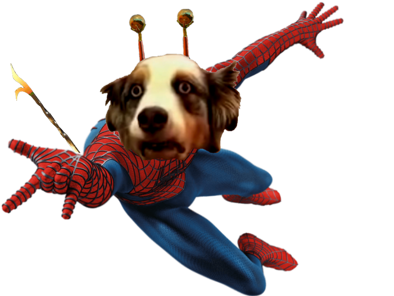 dog risitas chien toutou fou louche man transcendence spider bizarre potestaquisiteur spiderman