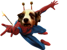 dog-risitas-chien-toutou-fou-louche-man-transcendence-spider-bizarre-potestaquisiteur-spiderman