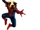 potestaquisiteur-spiderman-louche-bizarre-chien-risitas-spider-toutou-man-fou-transcendence-dog