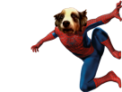 bizarre-louche-risitas-toutou-spiderman-fou-chien-potestaquisiteur-spider-transcendence-dog-man