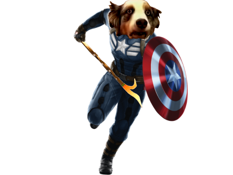 spider risitas dog louche chien spiderman potestaquisiteur bizarre toutou fou transcendence man