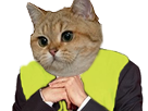 jaune-jesus-risitas-fusion-gilet-chat-tete