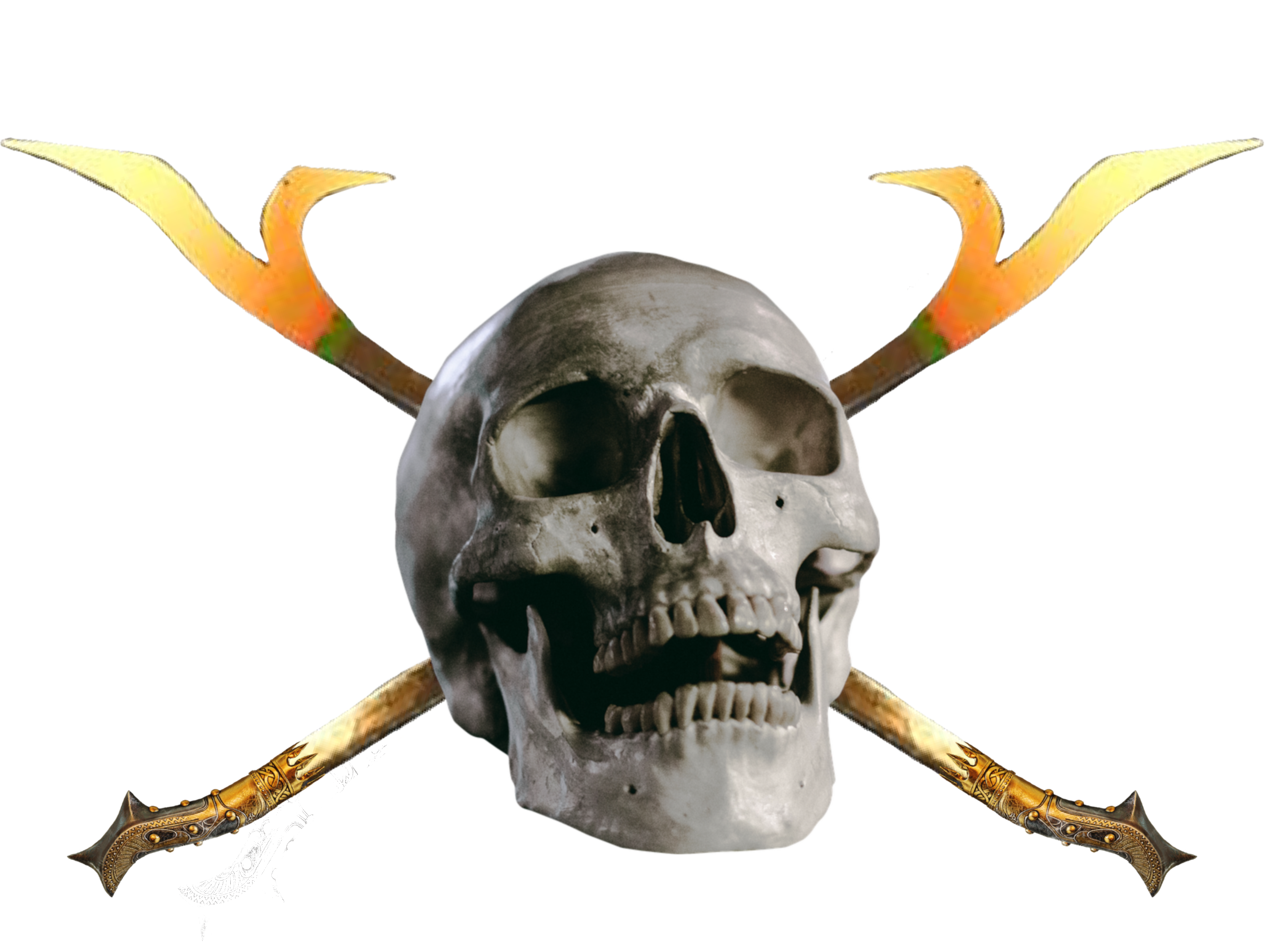 tison chien captaincharly charly jack pirate barbechien risitas captain