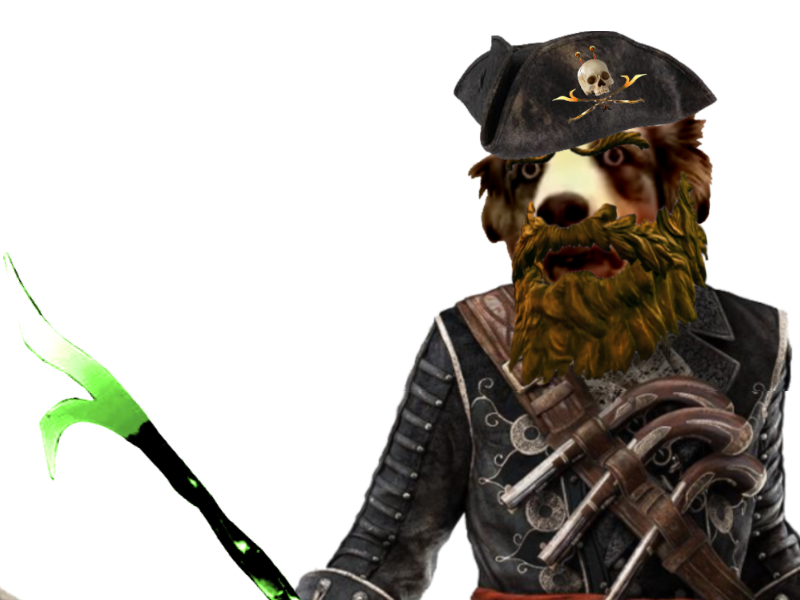 tison jack risitas barbechien chien captain captaincharly pirate charly