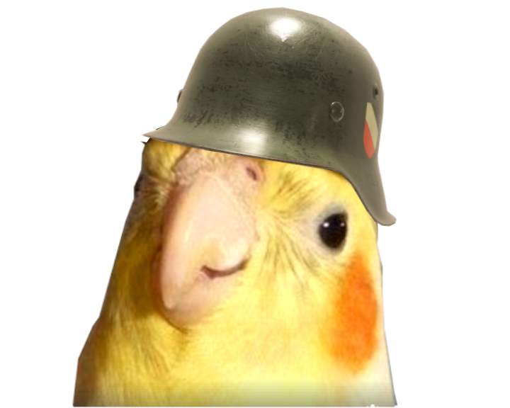 jaune perruche casque ww2 orange chapeau rigolo