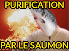 other-le-balance-saumon-en-ciel-arc-purification-par-saumonarcenciel-ddb