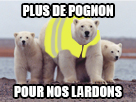 jaune gilet ours politic