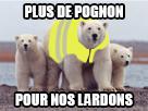 jaune-gilet-ours-politic