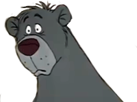 ok surpris etonne baloo balou ours wtf