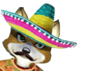 fox-renard-mexico-adventures-moustache-starfox-mexicain-sombrero-poncho-furry-mexique-tinnova-mccloud