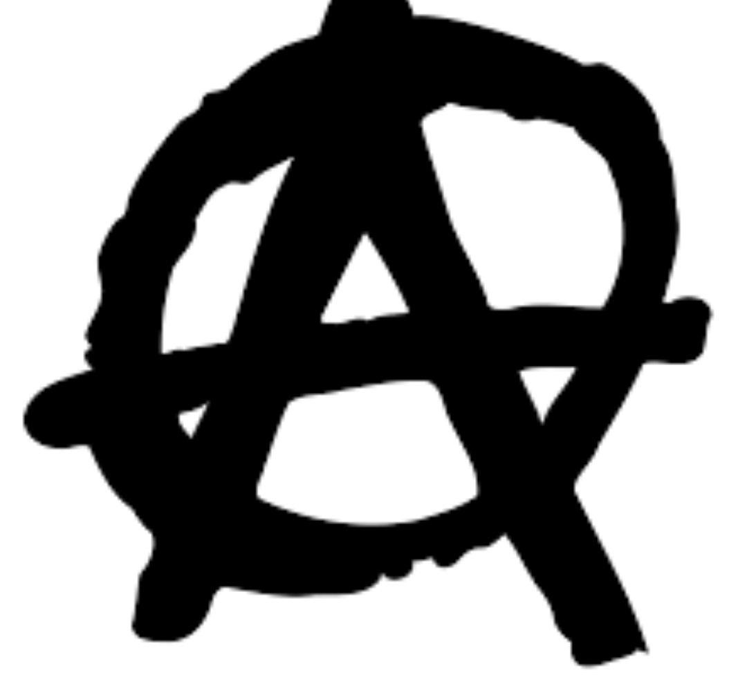 risitas revolution anarchiste anticapitalistes