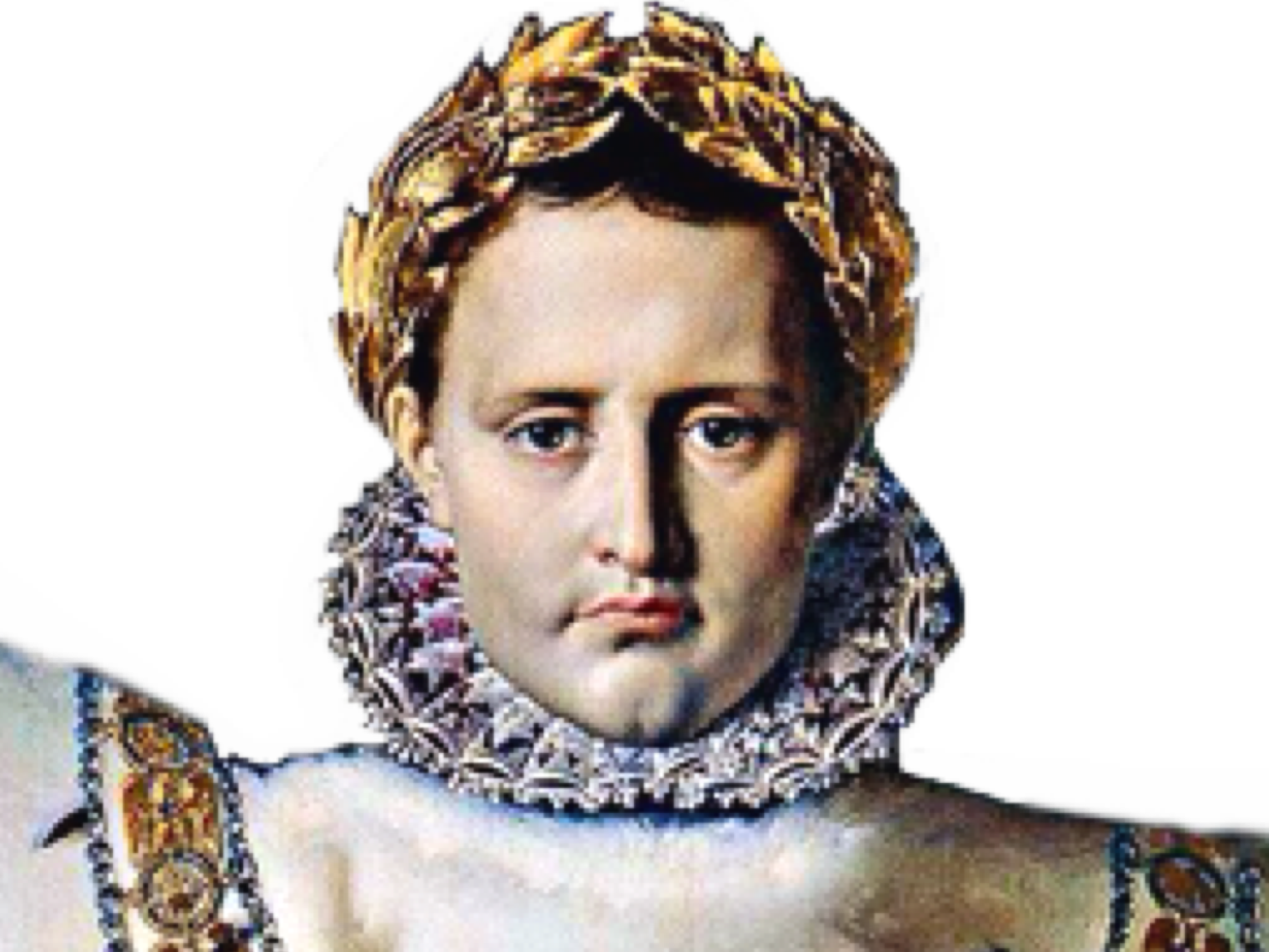 royal tableau empereur ultime risitas napoleon tete 1er peinture bg portrait des visage francais