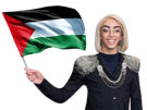 drapeau-hassani-bilal-palestine-other