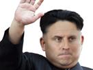 hun-kim-jong-jaune-dictateur-politic-gilet-macron-salut