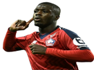 1-other-pepe-ligue-dogues-soccer-lille-football-losc-2-lillois