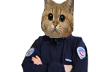risitas-police-roux-chat