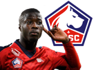 losc-lille-pepe-other