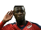 pepe-peped-losc-other-lille-football-foot