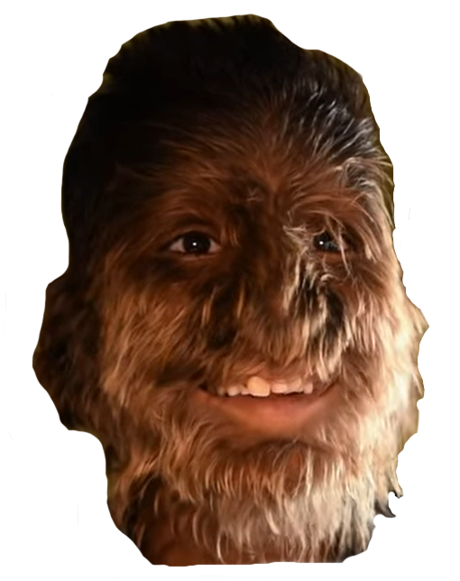 poile other chien poilu