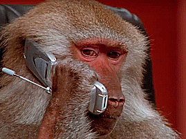 gif risitas stick summerfag3000