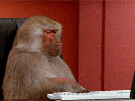 gif risitas summerfag3000 stick