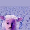 npc-bluepills-risitas-mouton