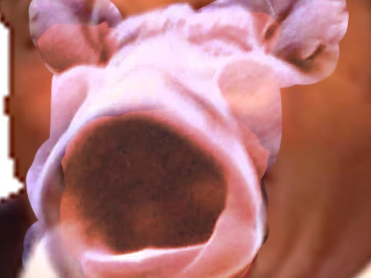 issou chancla eugneu risitas