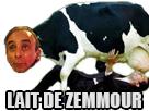 vache-lait-politic-zemmour-eric