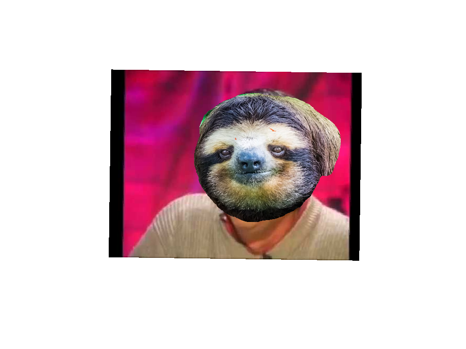 blase face risitas paresseu bof