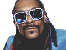 90-lunettes-funk-weed-rap-doggystyle-gang-west-dogg-snoop-us-other-mc-coast