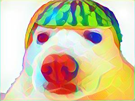 chien-fou-pasteque-colore-animal-deguise-fraise-melon-fruit-risitas-deguisement-maquillage-psychedelique-dog