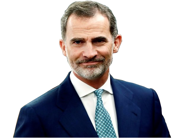 vi felipe espagne roi norage sourire