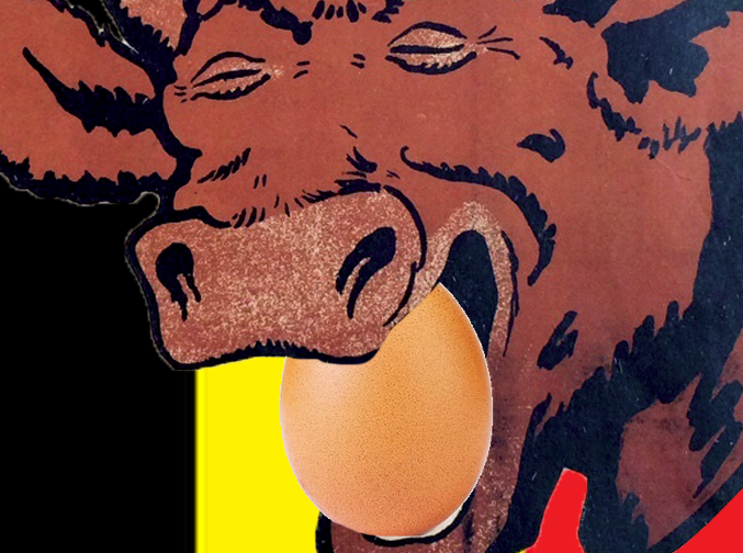 oeufs belgique vache belge meuh belges oeuf jvc
